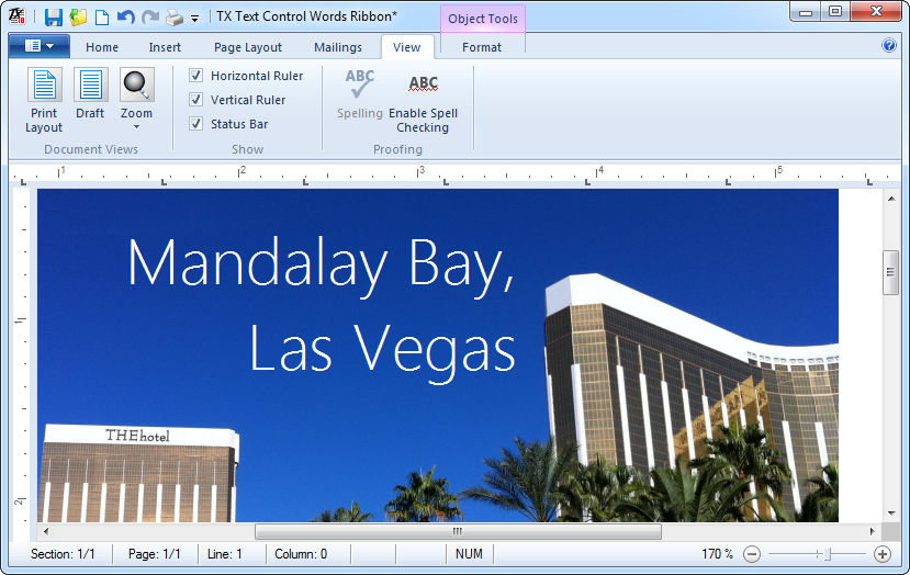 文字处理控件,TX Text Control ActiveX,变焦滑块